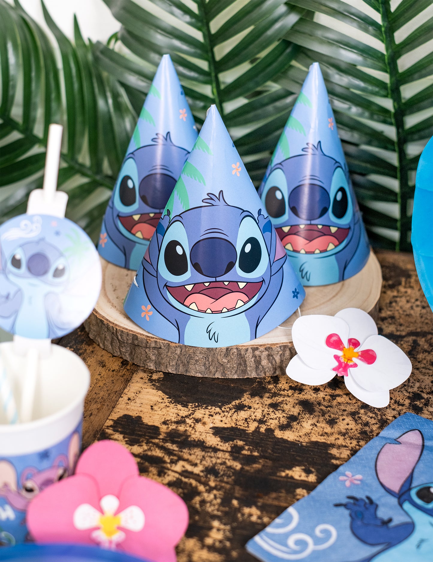 6 klobúkov Stitch Party