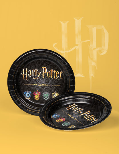 8 kartónových dosiek FSC Harry Potter 23 cm