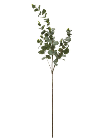 Eukalyptus Branch 98 cm