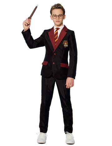 Kostým pán Gryffindor Child Suitmeister