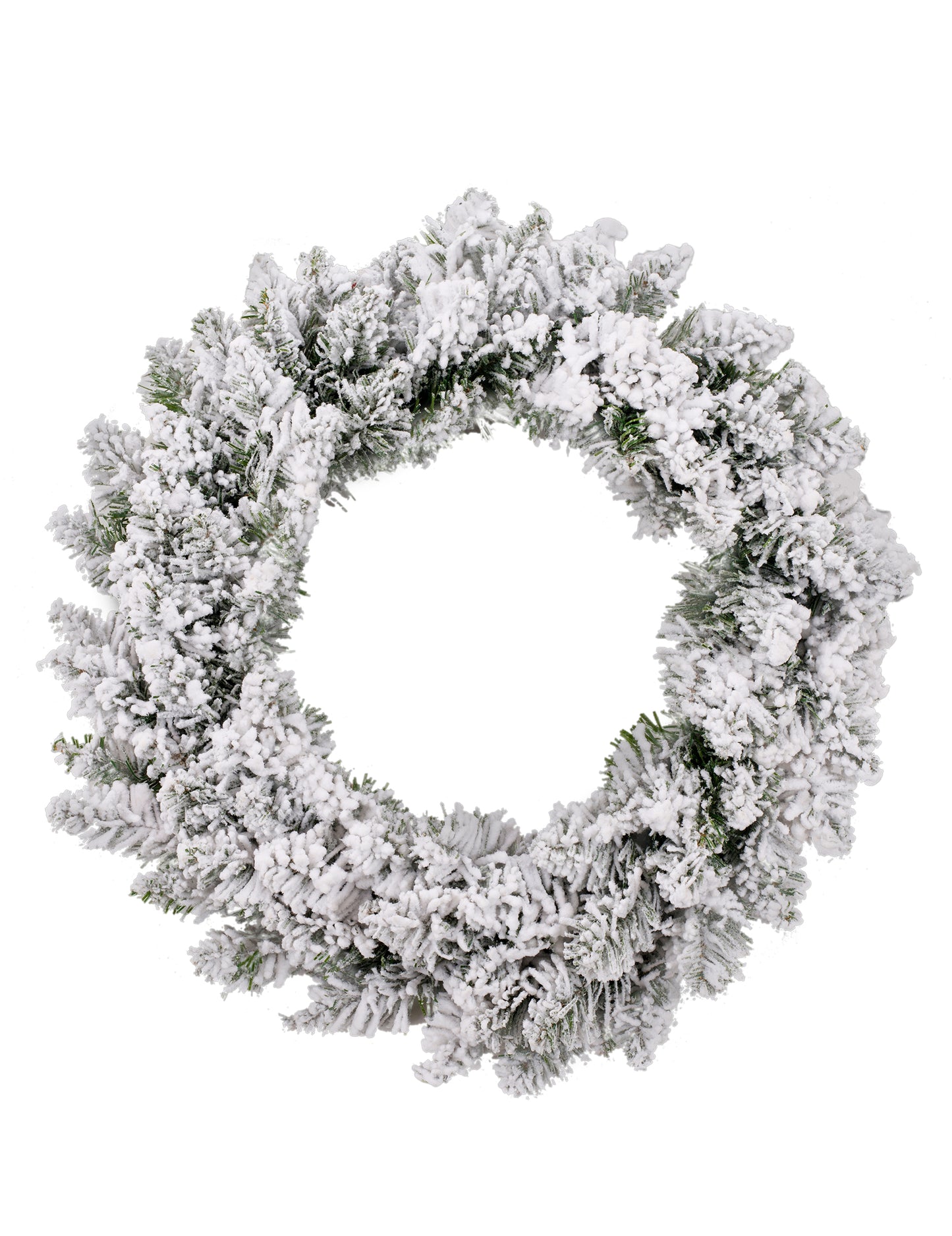 Snowy Fir Crown 30 cm