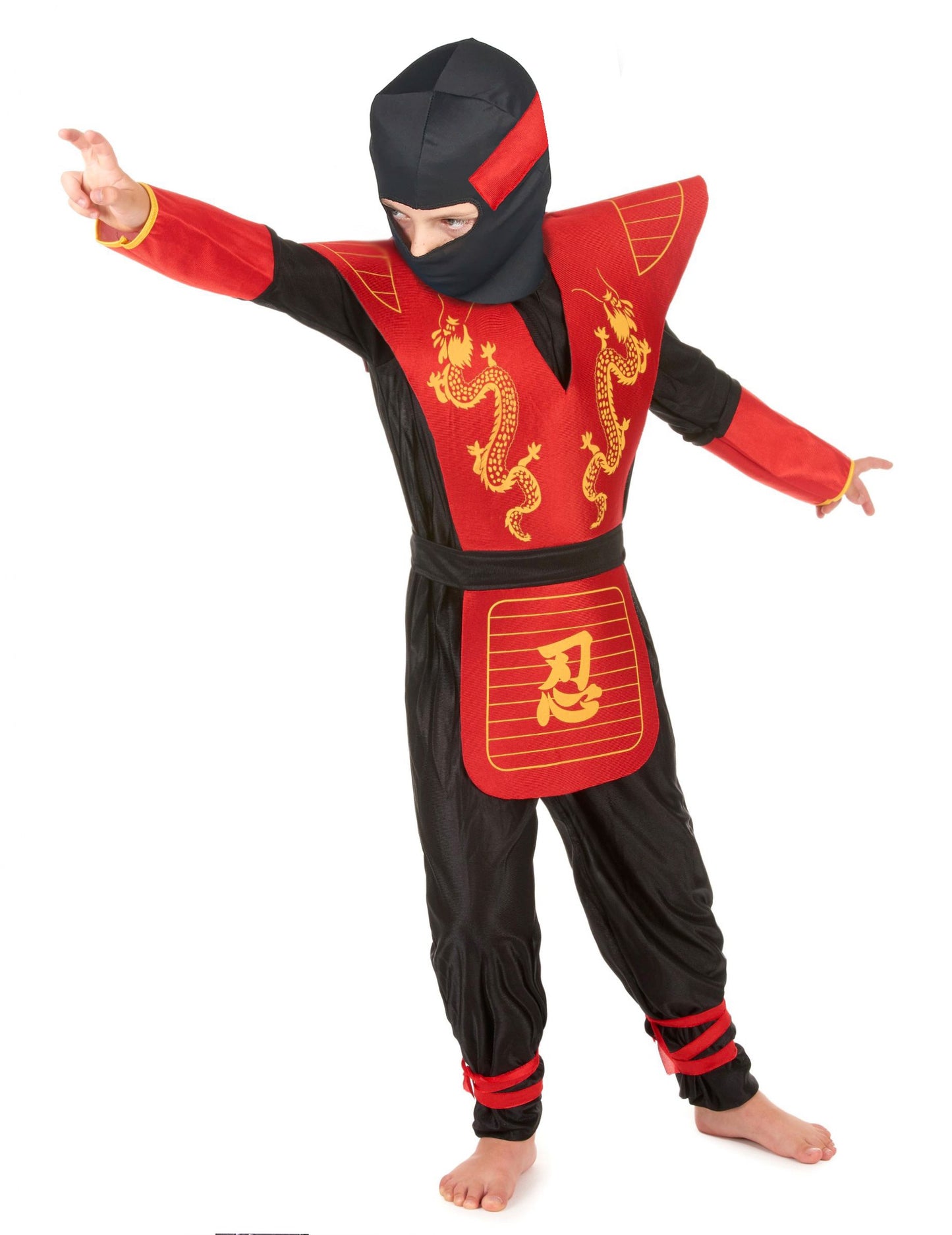 Ninja Masguise Dragons Boy Dragons