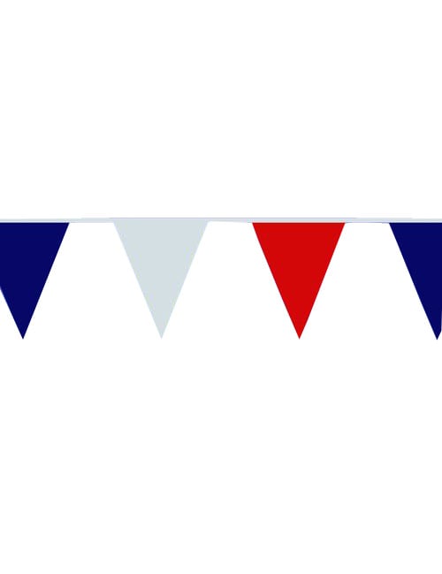 Tricolore Pennant